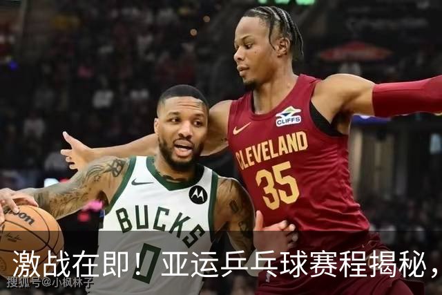 激战在即！亚运乒乓球赛程揭秘，快来围观王楚钦孙颖莎的较量！